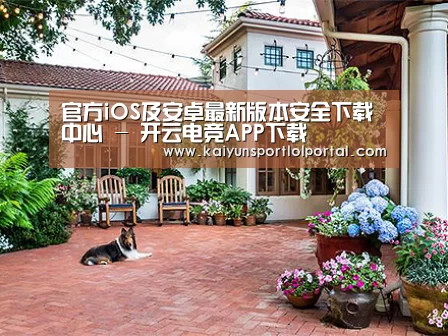 客户案例标题九