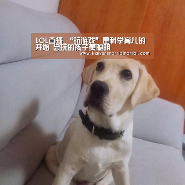 开云电竞官网
