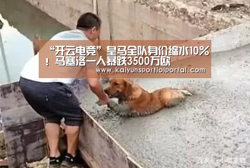 LOL直播
