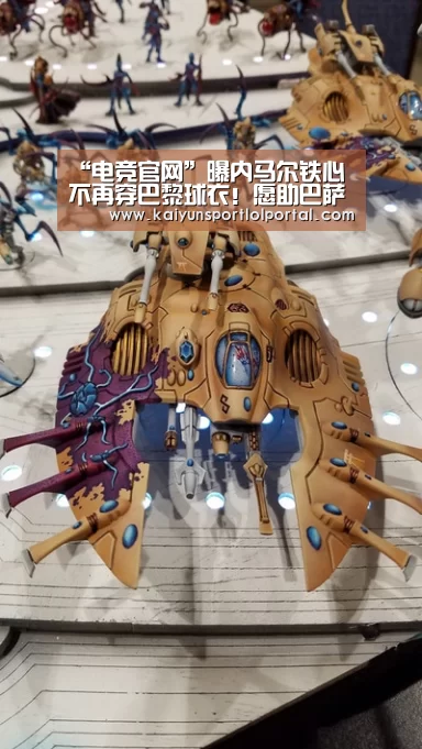 开云电竞